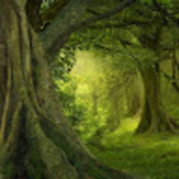 Meet your Posher, Katrina - Picture 1 of 1